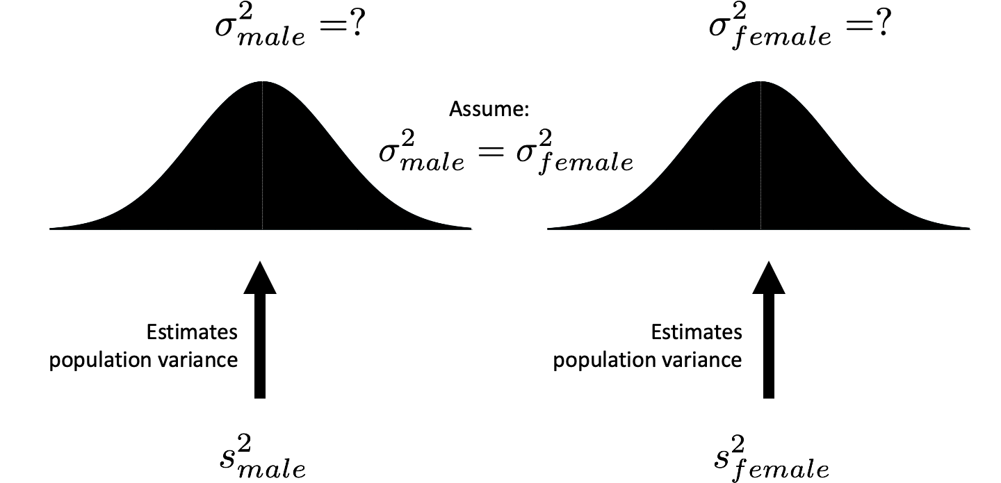 Estimating population variances with sample variances. The male sample variance (n-1) is an estimate of male population variance. Likewise, the female sample variance (n-1) is an estimate of the female population variance. 