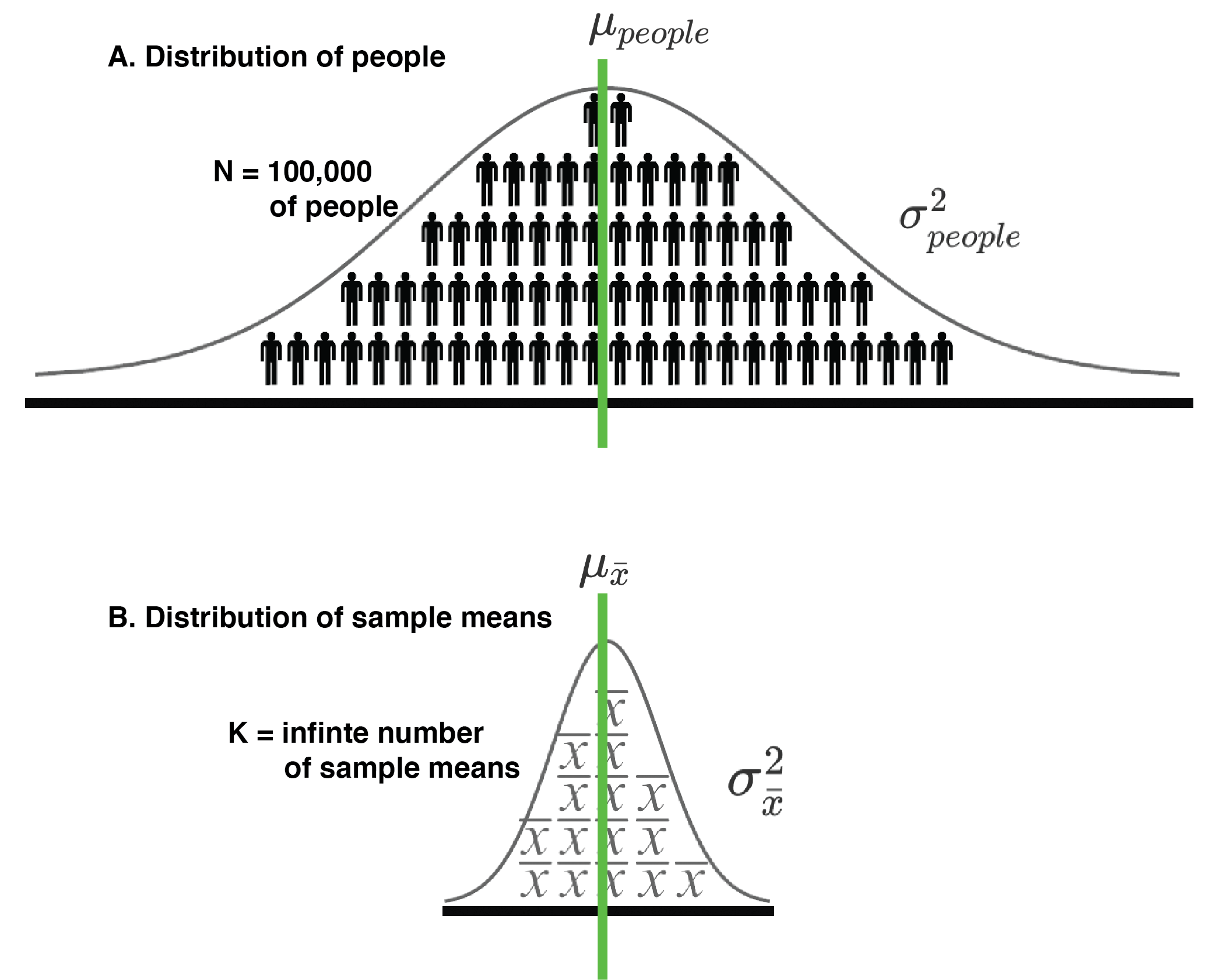 A distributionof people (A.) and a corresponding distribution of sample means (B.) can both be considered populations in some sense.