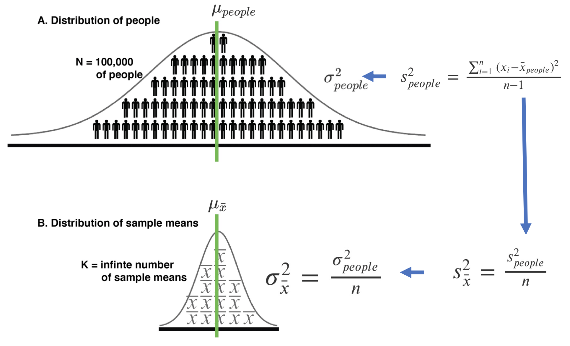 Precision: Conceptual and calculation approaches. 